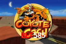 Platform Technology Bet585